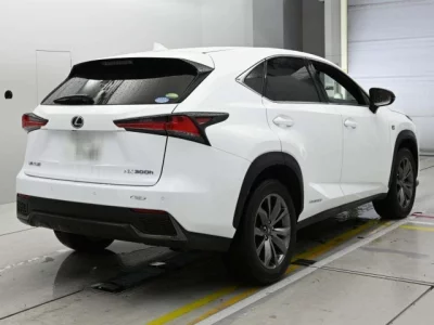 Lexus NX300h