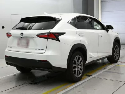 Lexus NX300h