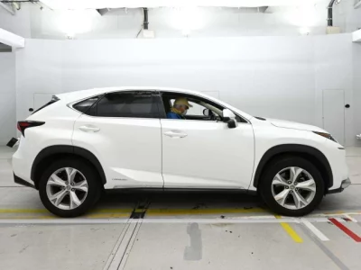 Lexus NX300h