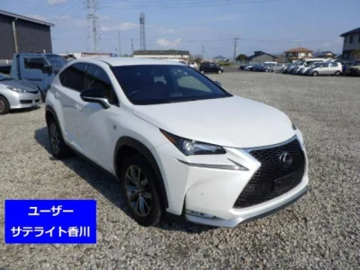 Lexus NX300