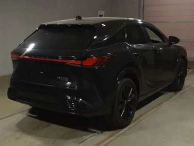 Lexus RX500h