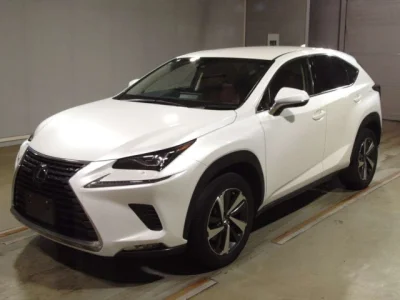 Lexus NX300