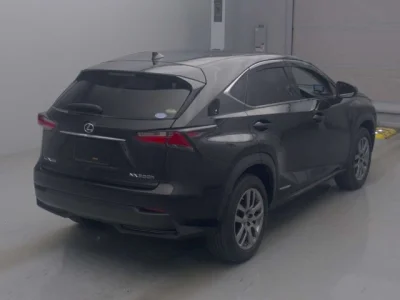 Lexus NX300h