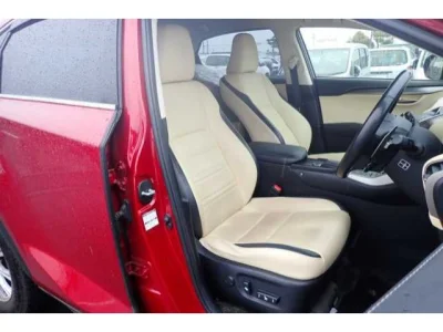 Lexus NX300