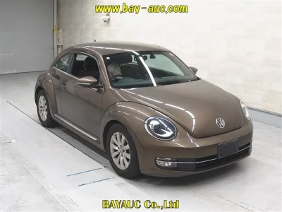 Volkswagen THE BEETLE