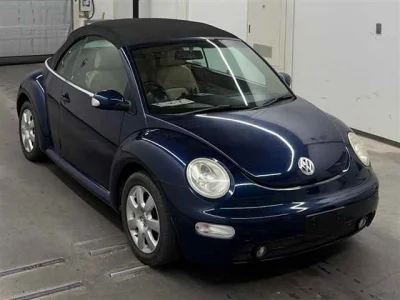 Volkswagen New Beetle