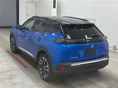 Peugeot e-2008