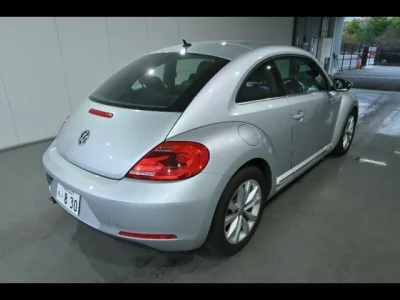 Volkswagen THE BEETLE