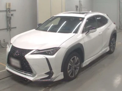 Lexus UX300e