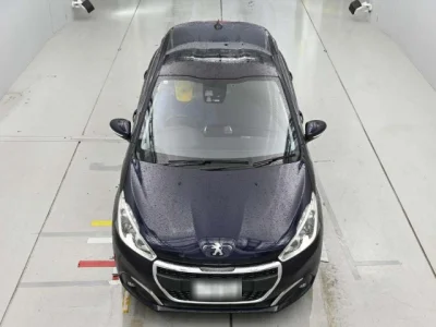 catalog-car-7