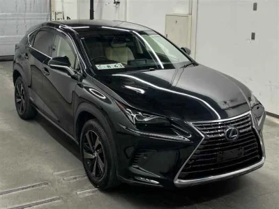 Lexus NX300h