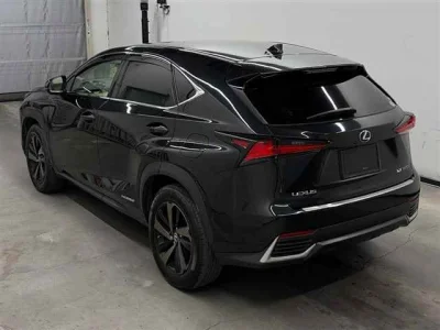 Lexus NX300h