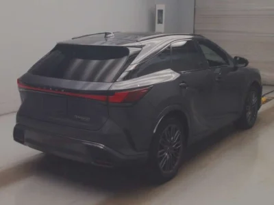 Lexus RX500h
