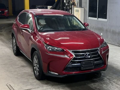 Lexus NX300h