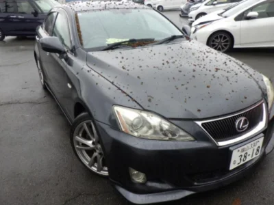 Lexus IS250C