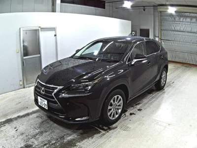 Lexus NX300