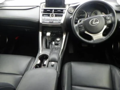Lexus NX300