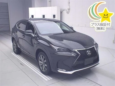 Lexus NX300