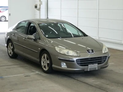 Peugeot 407