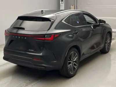 Lexus NX250