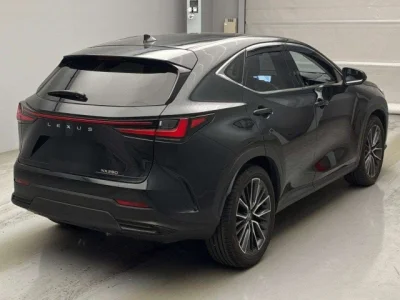 Lexus NX250