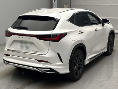 Lexus NX450h+