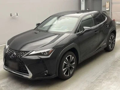 Lexus UX250h