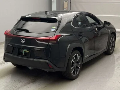 Lexus UX250h