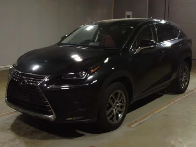 Lexus NX300