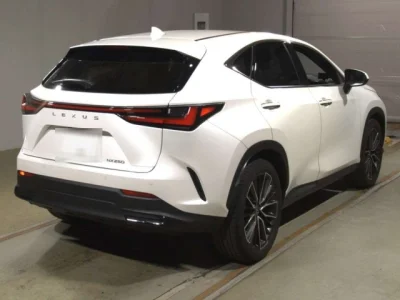 Lexus NX250