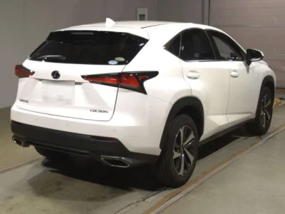 Lexus NX300