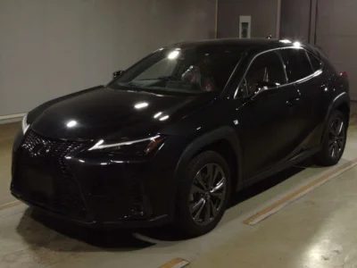 Lexus UX250h