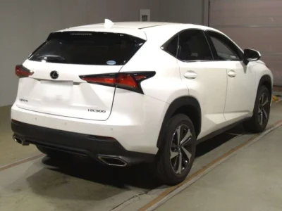 Lexus NX300