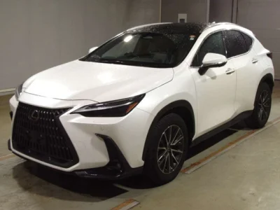 Lexus NX250