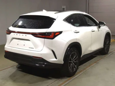 Lexus NX250