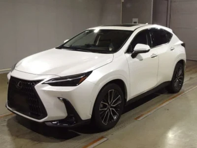Lexus NX450h+
