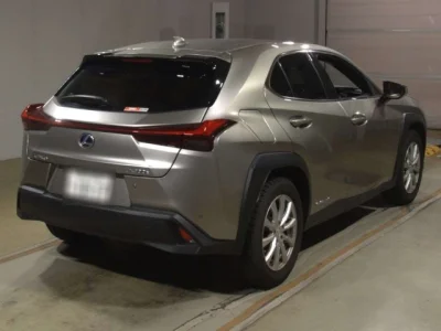 Lexus UX300e