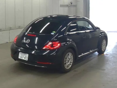 Volkswagen BEETLE