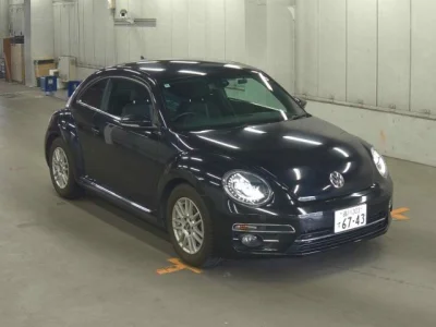 Volkswagen BEETLE