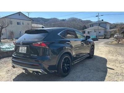 Lexus NX300