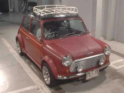Rover MINI