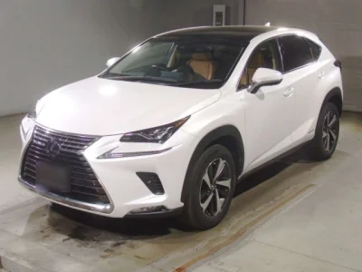 Lexus NX300h