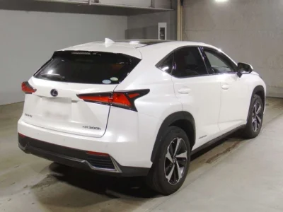 Lexus NX300h