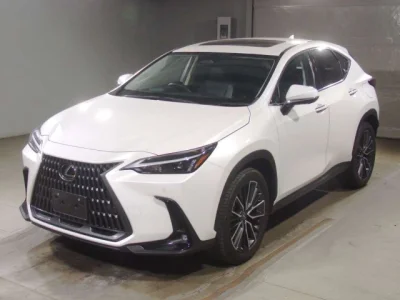 Lexus NX250