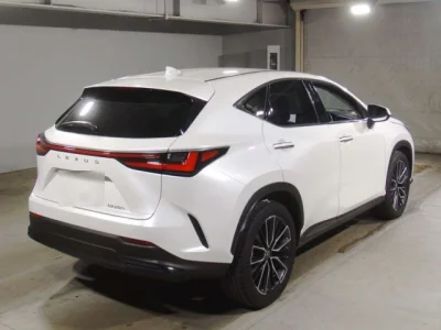 Lexus NX250