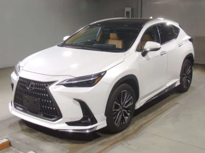 Lexus NX250
