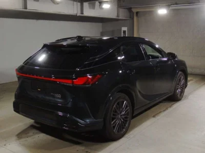 Lexus RX500h