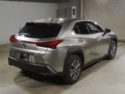 Lexus UX300e