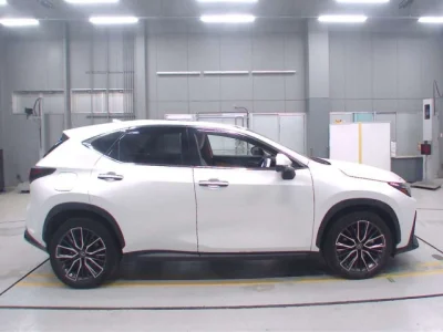 Lexus NX450h+