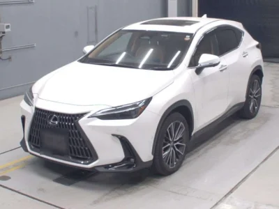 Lexus NX450h+